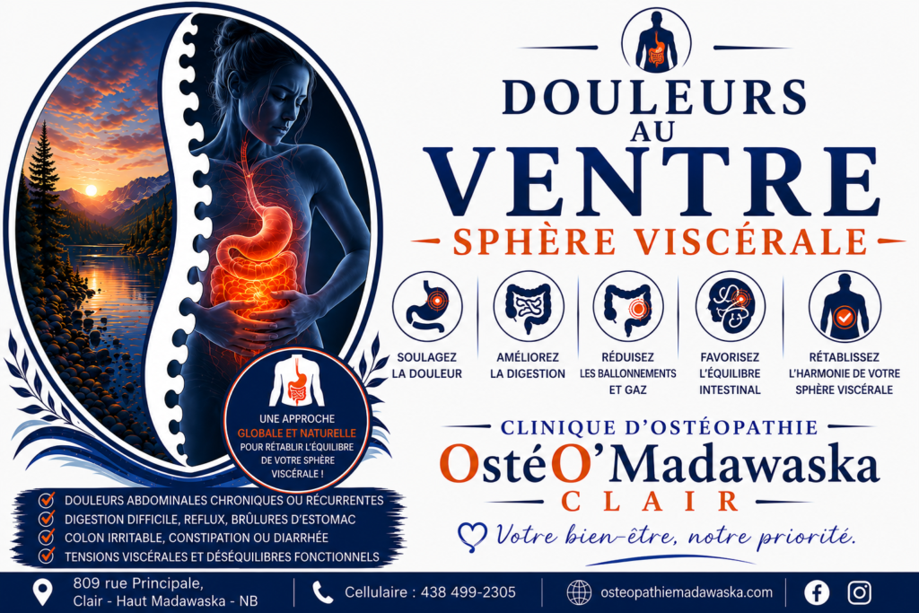 ventre m